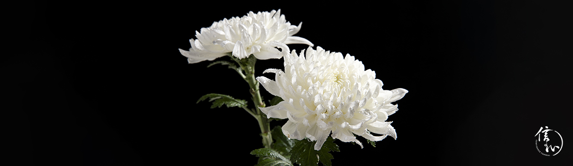 Types of flowers-funeral services